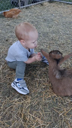 Petting zoo hits 35-year milestone